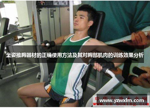 坐姿推胸器材的正确使用方法及其对胸部肌肉的训练效果分析