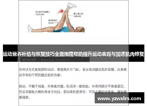 运动营养补给与恢复技巧全面指南帮助提升运动表现与加速肌肉修复