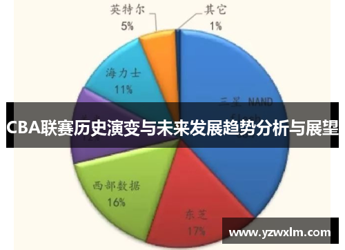 CBA联赛历史演变与未来发展趋势分析与展望