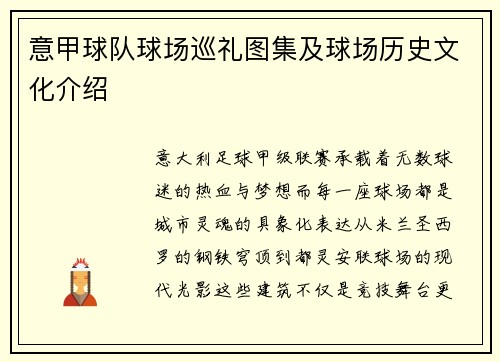 意甲球队球场巡礼图集及球场历史文化介绍