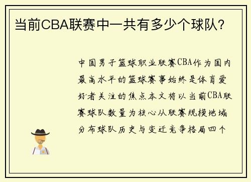 当前CBA联赛中一共有多少个球队？